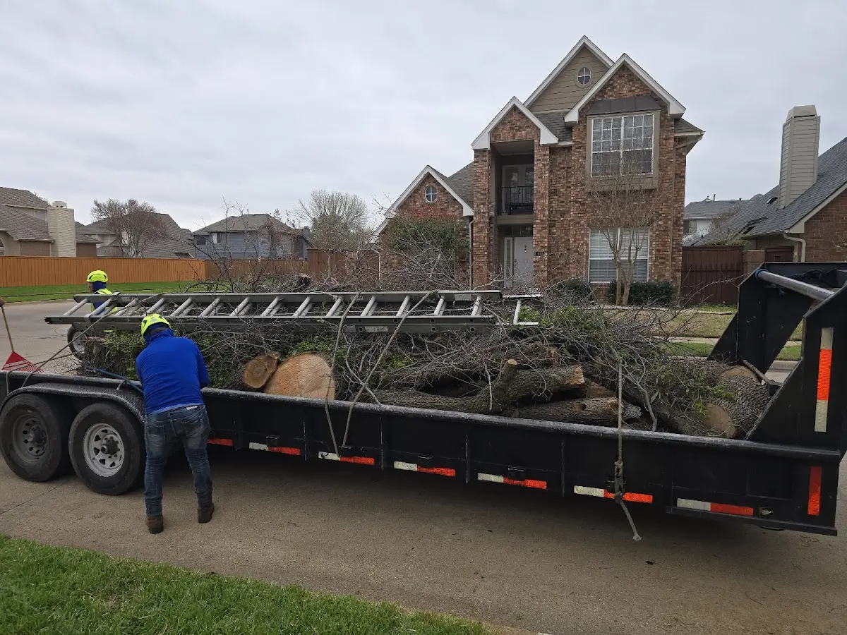 Expert Crown Reduction with proper safety equipment in Ashland City